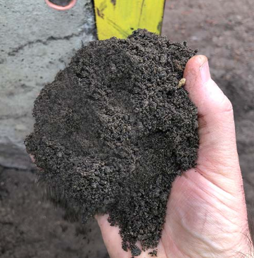 Hands Cupping Dark Soil  — Laurieton Landscape Supplies In Kew, NSW