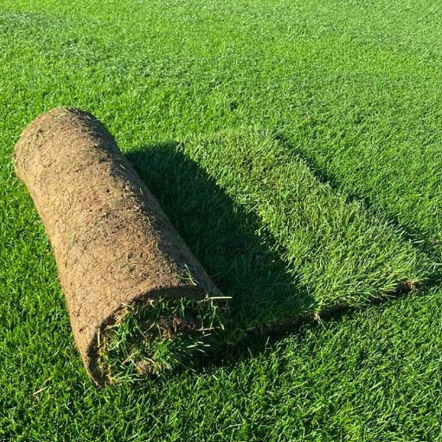 Rolled-up strip of artificial turf on green grass, with a shadow beside it — Laurieton Landscape Supplies In Laurieton, NSW