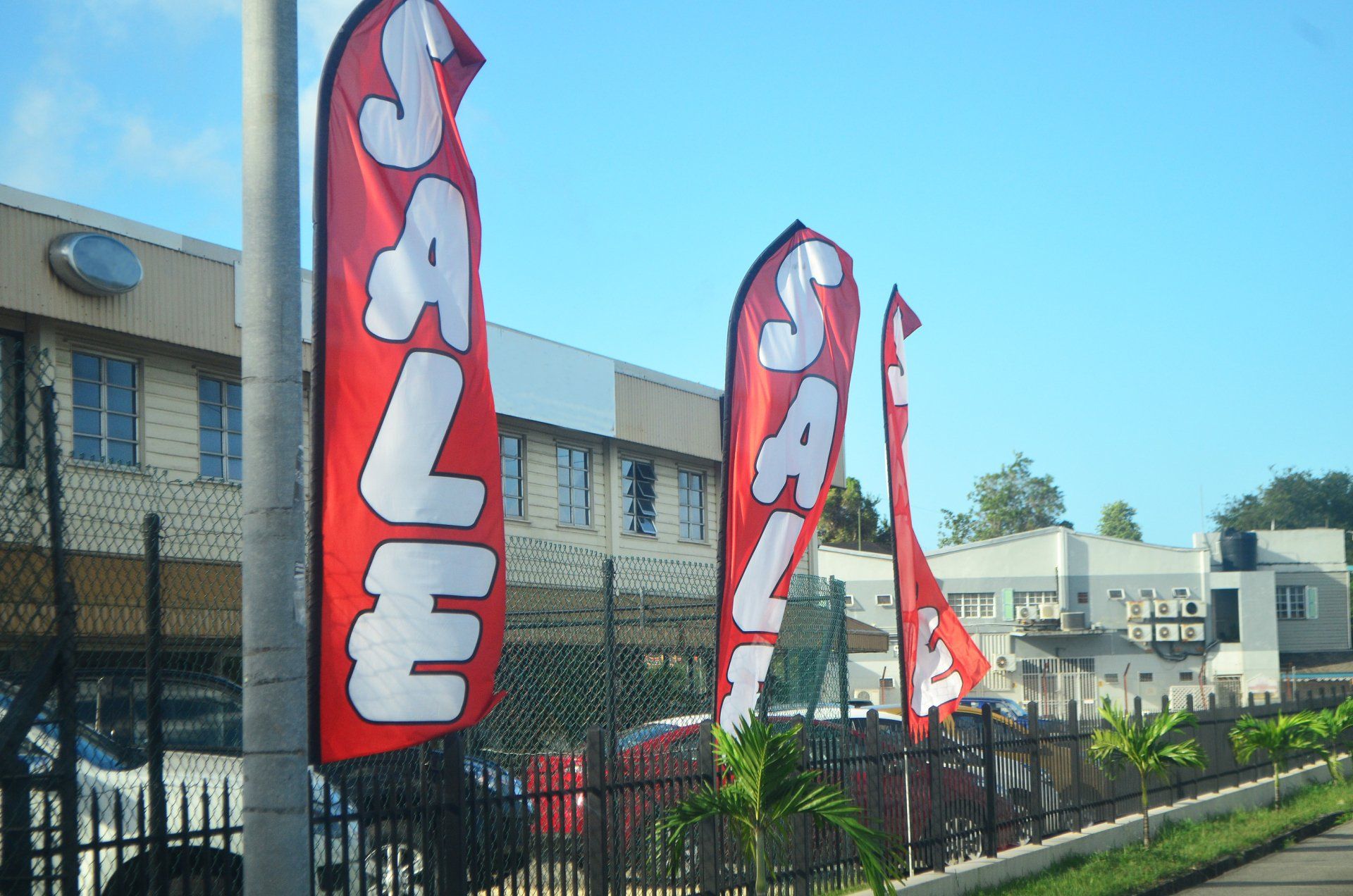 Advertising Flags for Car Dealer - Oxnard, CA - Vargas Signs