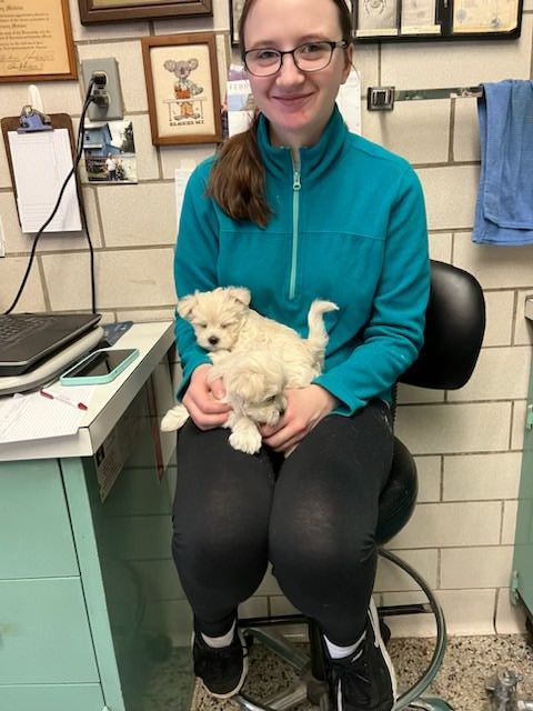 A Woman Is Sitting In A Chair Holding A Puppy — Columbus, OH — Oakland Park Animal Hospital