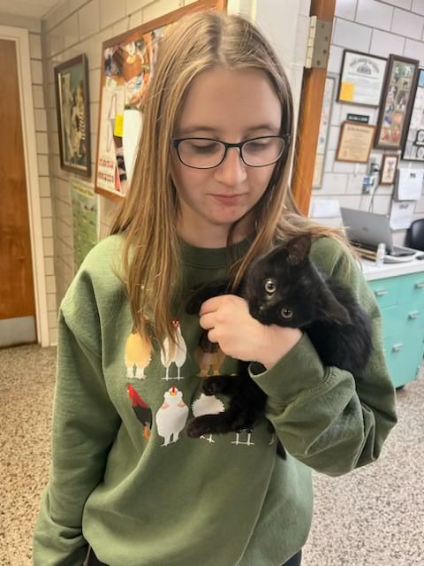 A Girl Wearing Glasses — Columbus, OH — Oakland Park Animal Hospital