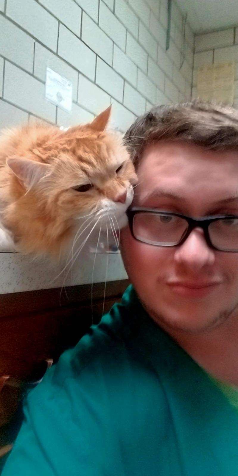 A Man Wearing Glasses Is Taking A Selfie With A Cat — Columbus, OH — Oakland Park Animal Hospital