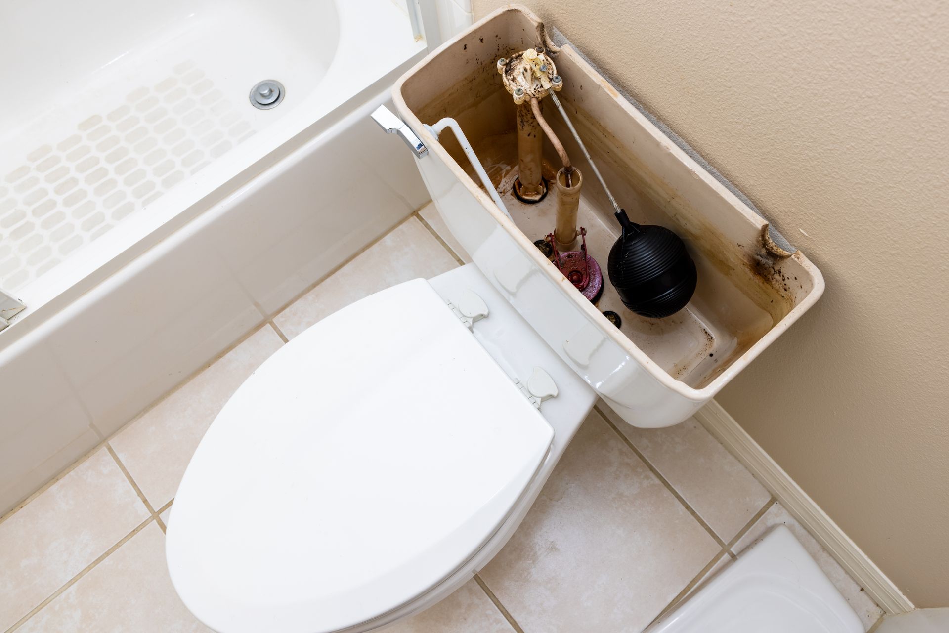 Open toilet tank, revealing interior mechanisms, next to a closed toilet seat, set in a bathroom.