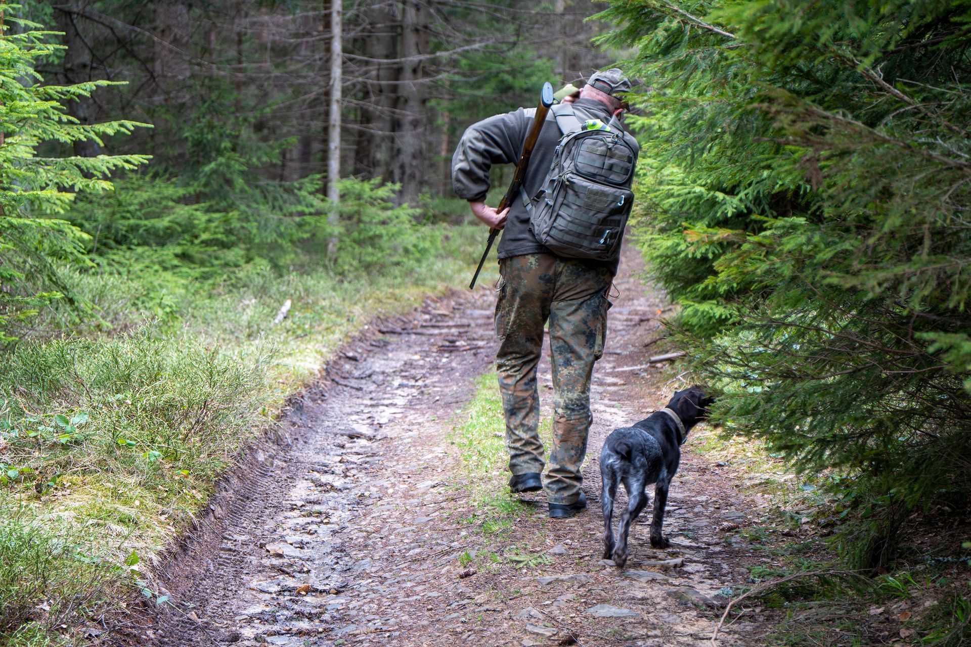 Hunter and dog walking on a muddy forest path, surrounded by green trees.