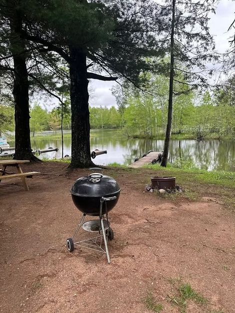 Charcoal grill near a lake with a dock, surrounded by trees and a picnic table. Overcast day.