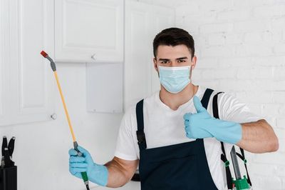 Pest Control Services Rochester Ny Pro Tech Exterminating