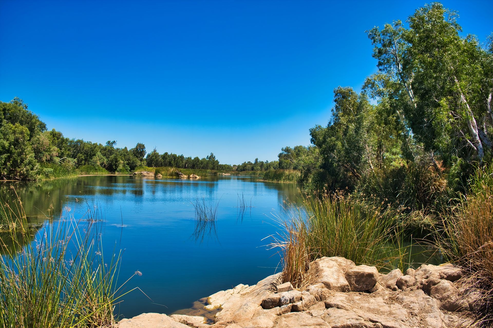 Blue Lake Surrounded by Green Trees Under a Clear — Best Price Towing in Maitland, NSW