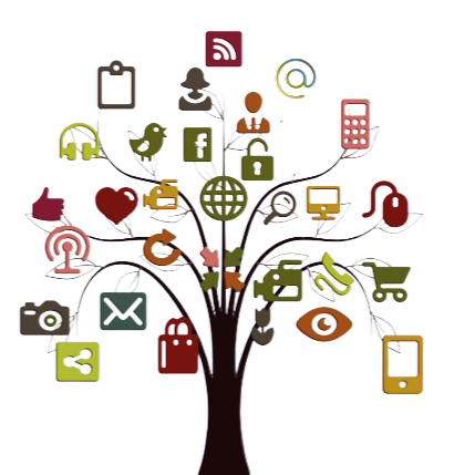 Search-engine-optimization-Lexington-SEO-company-Chelmsford-drt37prcscgw-drt4rgpcvu5h