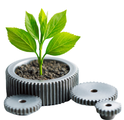 Web-site-design-seo-chelmsford-seo-agency-Chelmsford-Lexington-seo-company-drt4rgpcvu5h-drt383tm8fwu