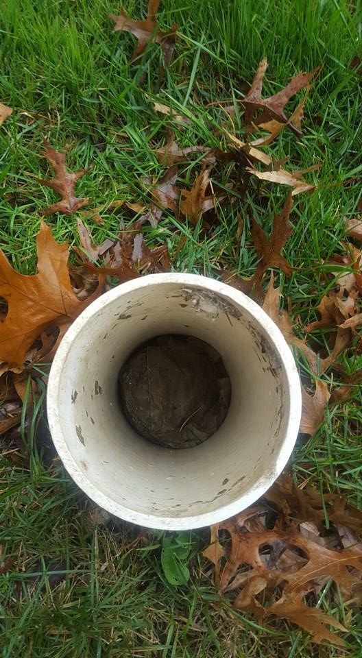 Looking down into a white PVC pipe in a grassy area with fallen brown leaves.