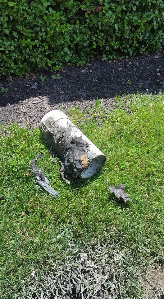White cylindrical object lying on green grass next to a dark gray border with green shrubbery in the background.