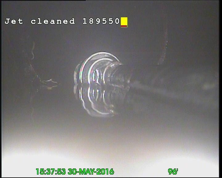 A clear, circular object with concentric rings and a reflection in a dark, watery environment.
