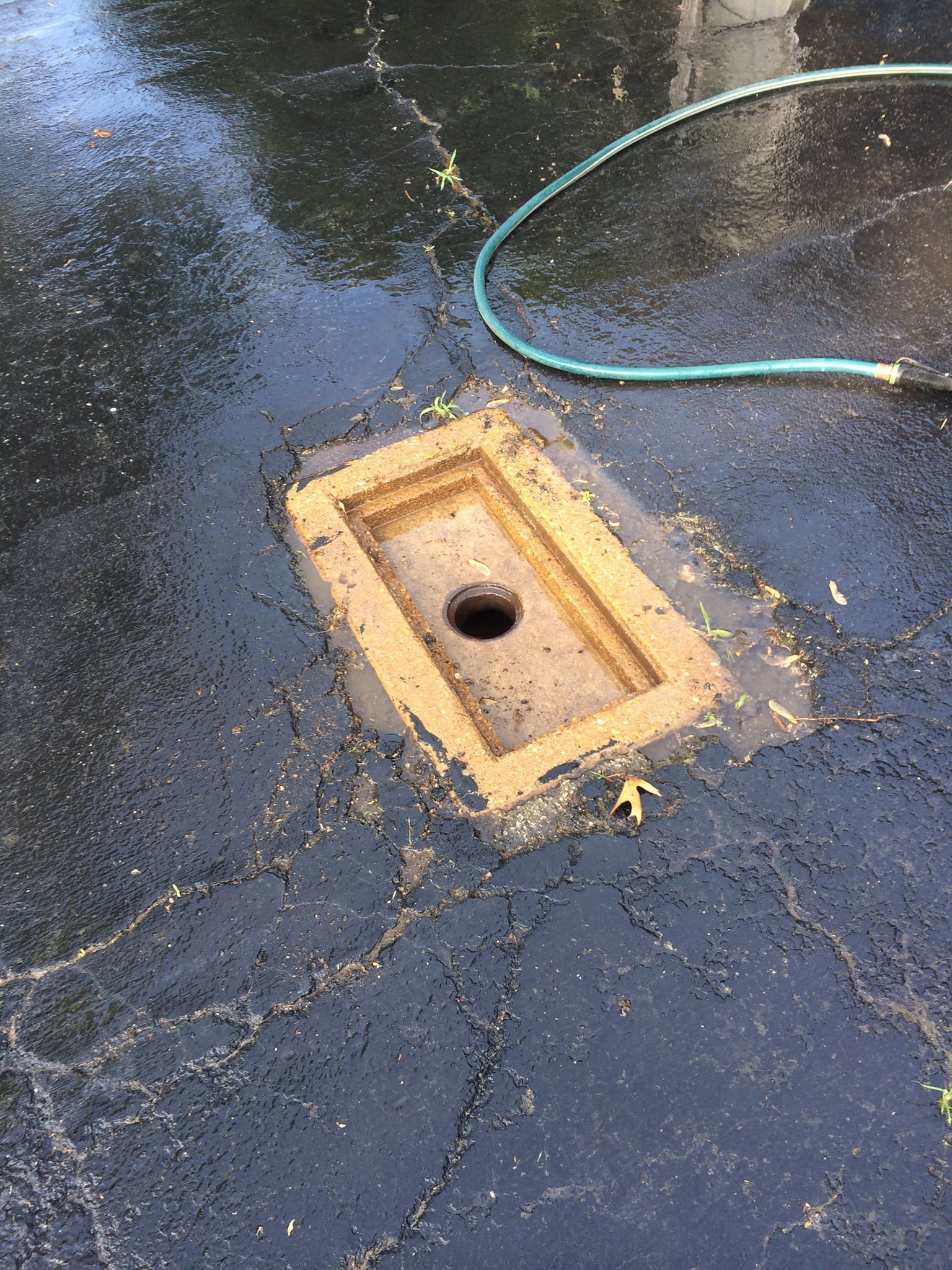 Rectangular drain in wet asphalt with yellow painted border, green hose.