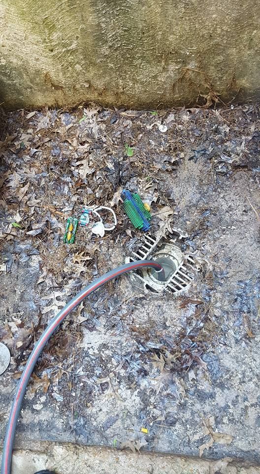 Drain area with leaves, hose, and a blue and green object.