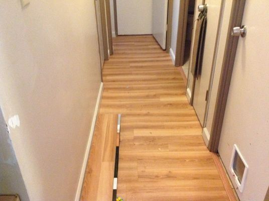 Hallway with light brown wood floor and tan walls, leading to a door at the end.