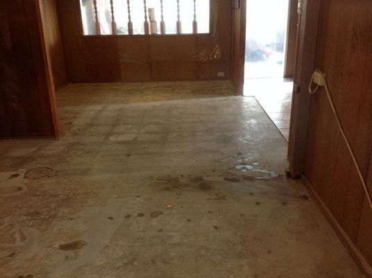 An empty room with stained, light-colored floor, wood-paneled walls, and a window in the back.