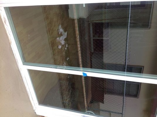 A partially open window with a view of a yard and building exterior; some debris visible.