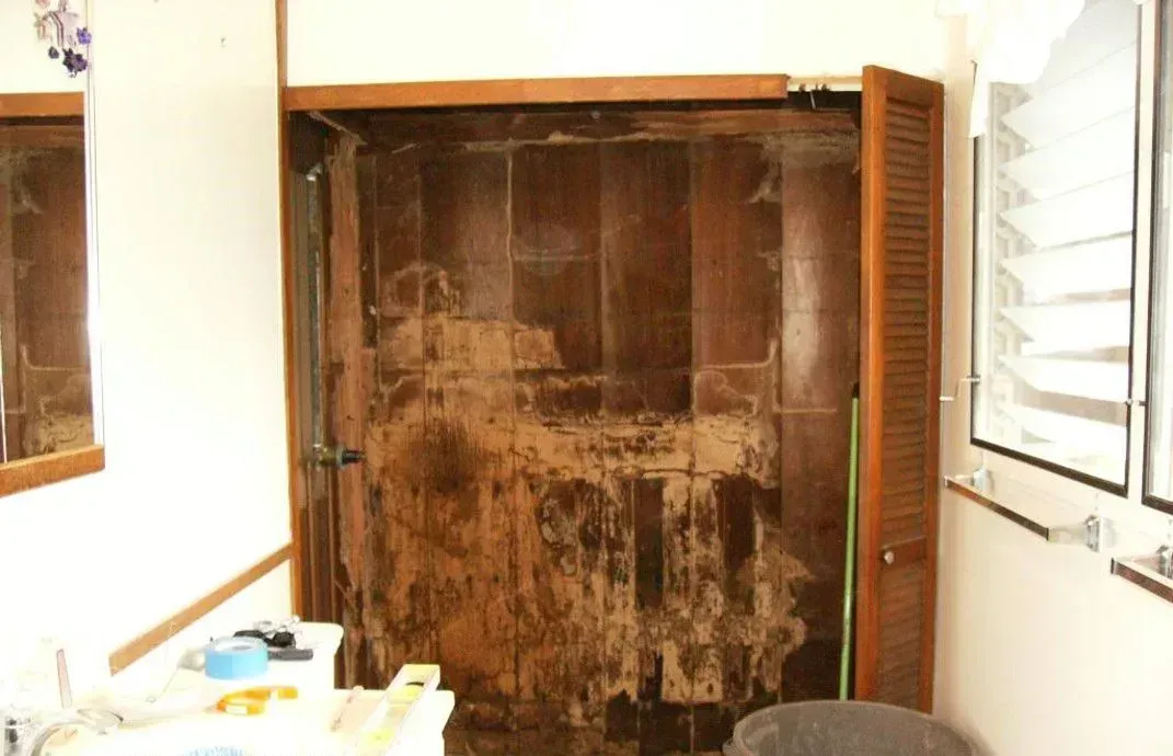 Bathroom with a damaged brown wall, a partially open wooden door, and a window.