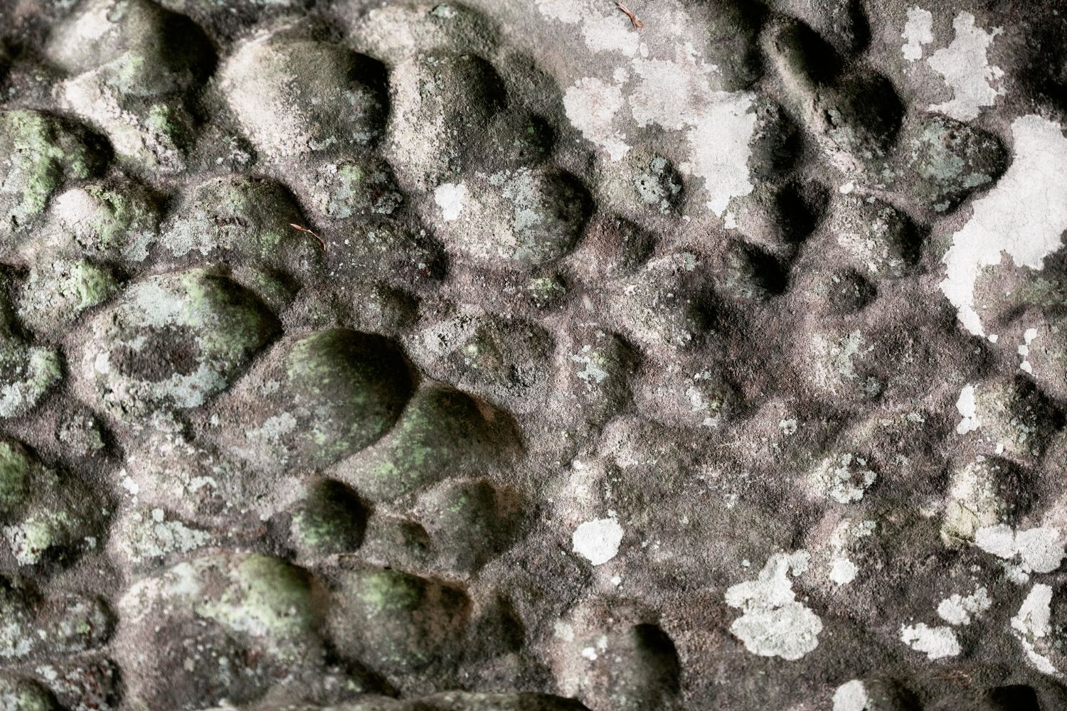 Top 5 Hidden Places Mold Could Be Growing in Your Home