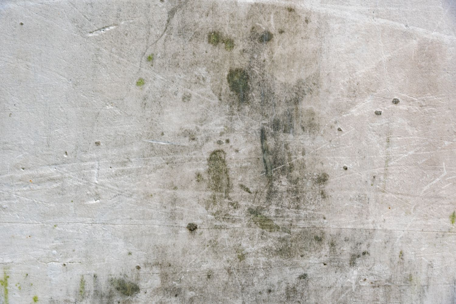 Do You Need Mold Testing Before Remediation?