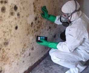 A man in a protective suit is kneeling down in front of a mouldy wall.