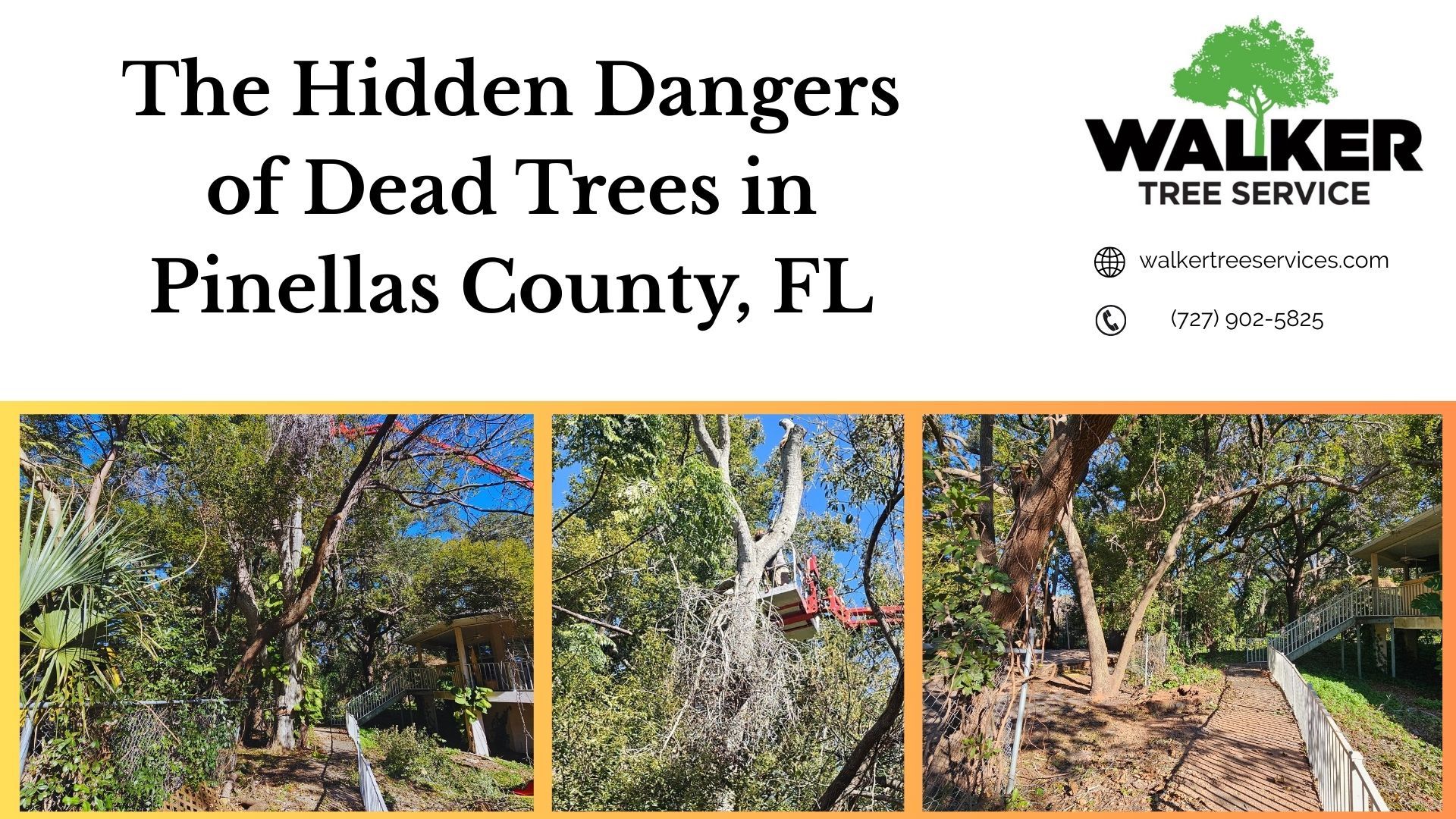 Couple looking at houses, pointing at a tree with a For Sale sign, sunny residential street.