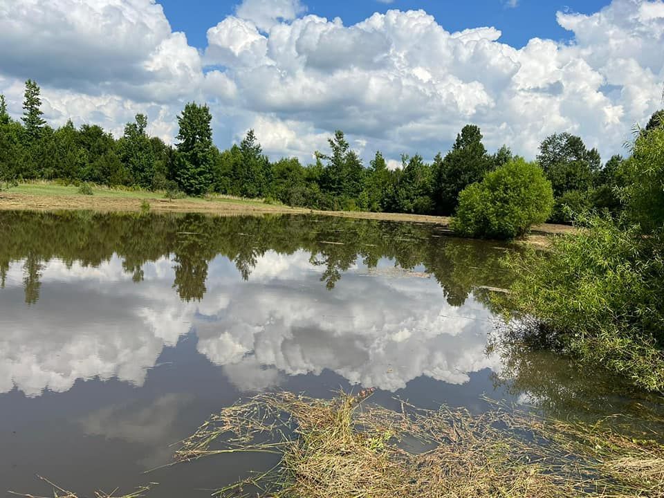 A lake with trees and clouds reflected in it
