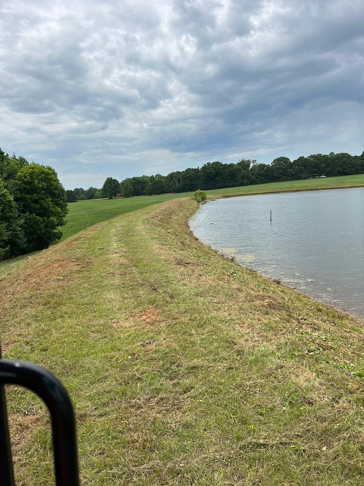 A grassy slope next to a body of water with trees in the background.