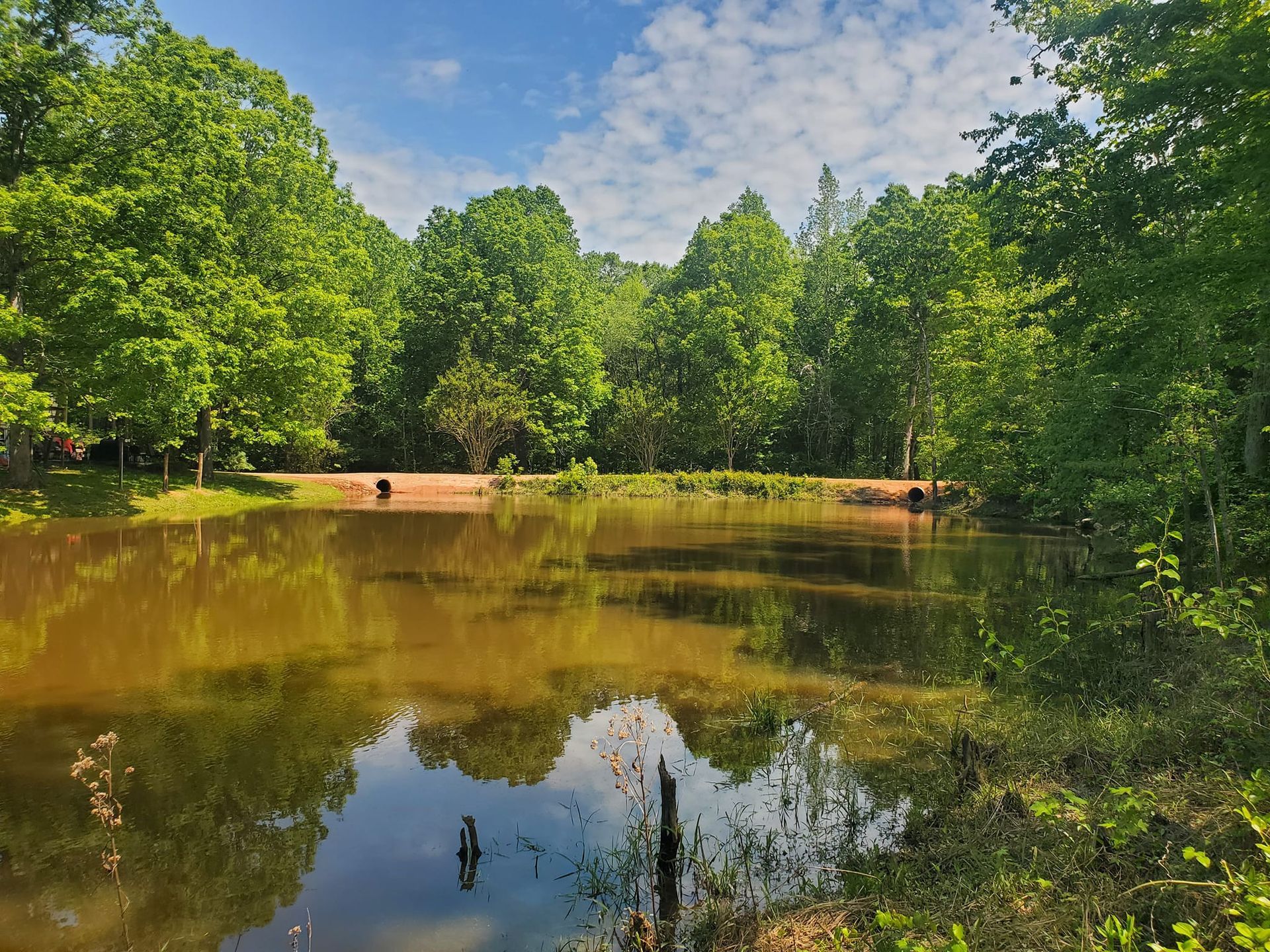 A large body of water surrounded by trees on a sunny day
