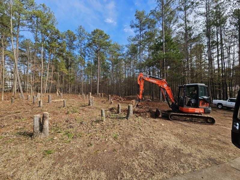 An excavator is digging a hole in the middle of a forest.