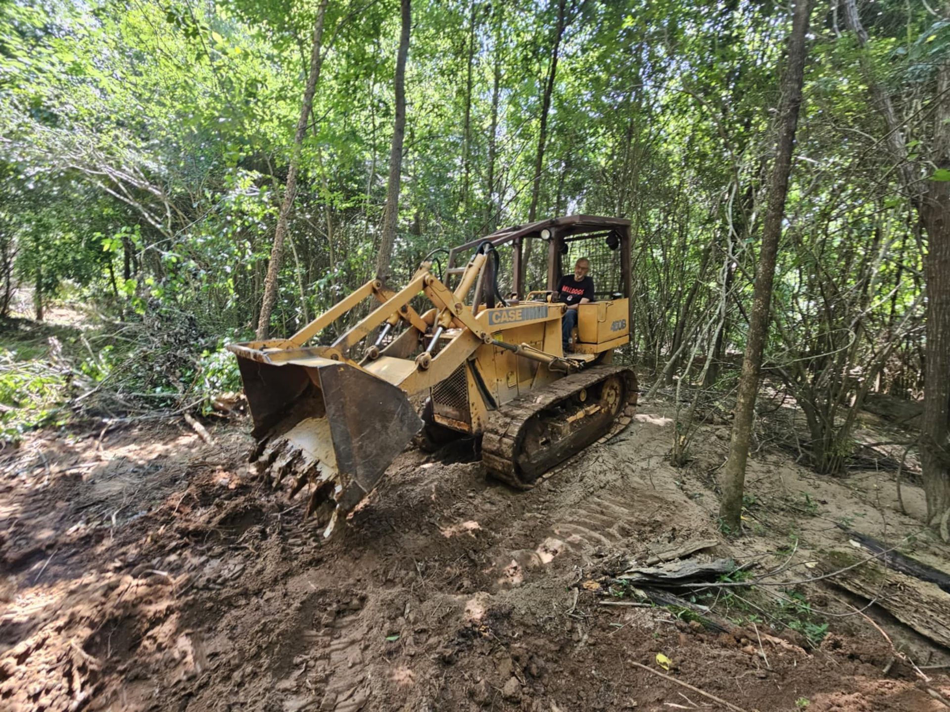 A bulldozer is moving dirt in the woods.