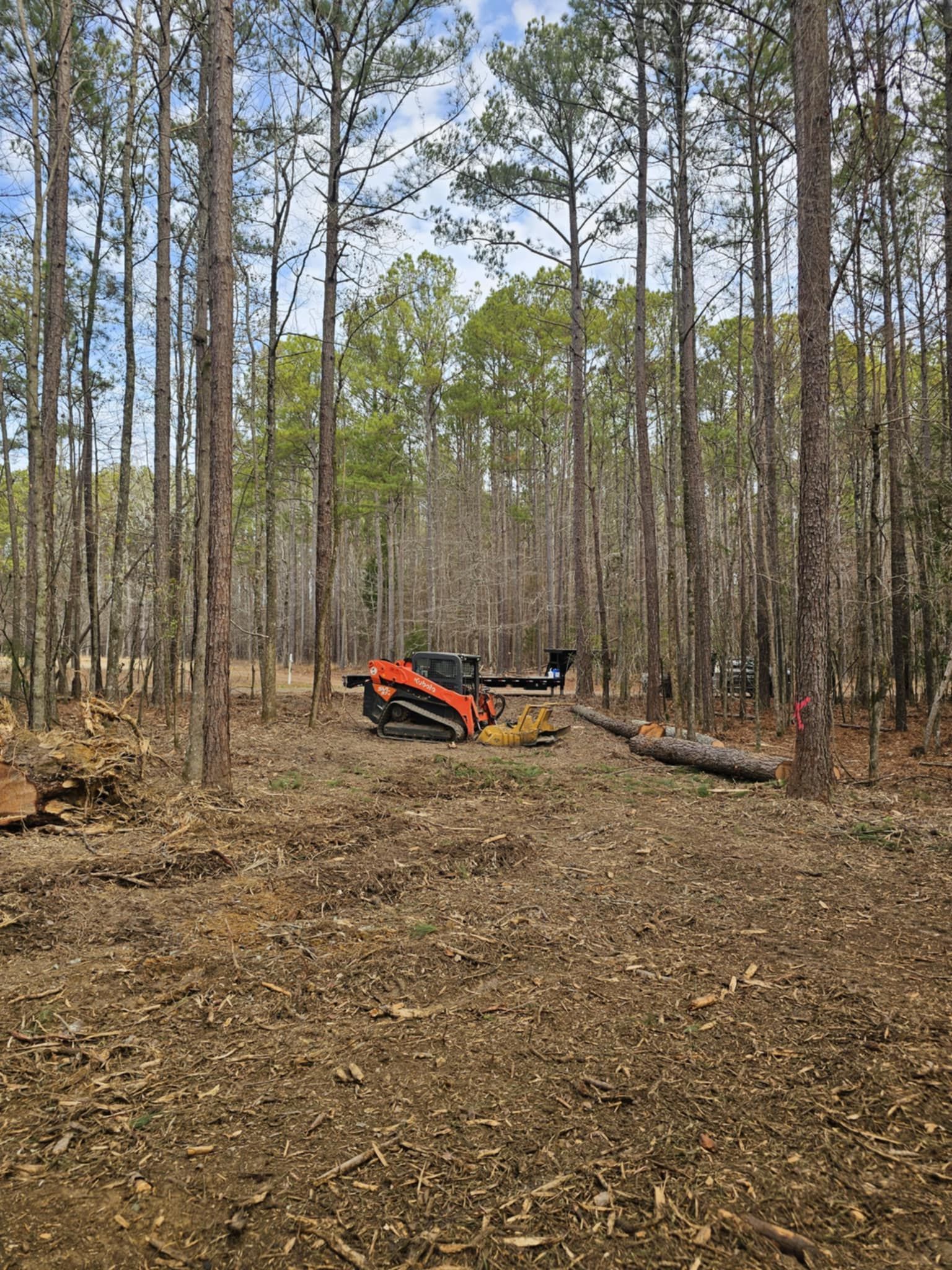 A bulldozer is sitting in the middle of a forest.