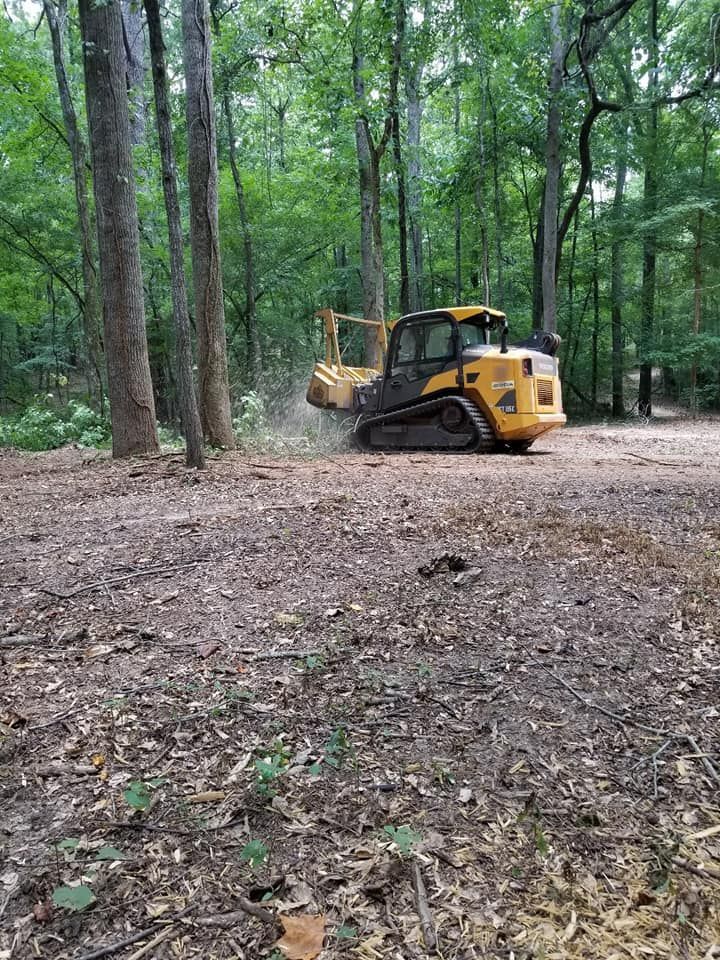 A yellow bulldozer is cutting down trees in the woods.