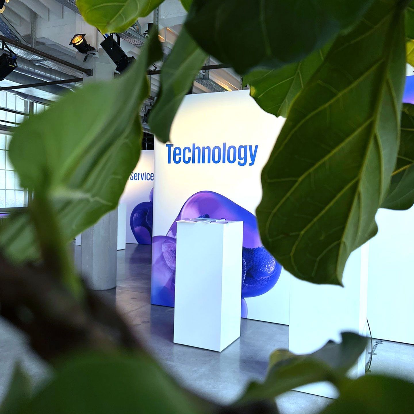 Begrünung Oppenheim & Partner