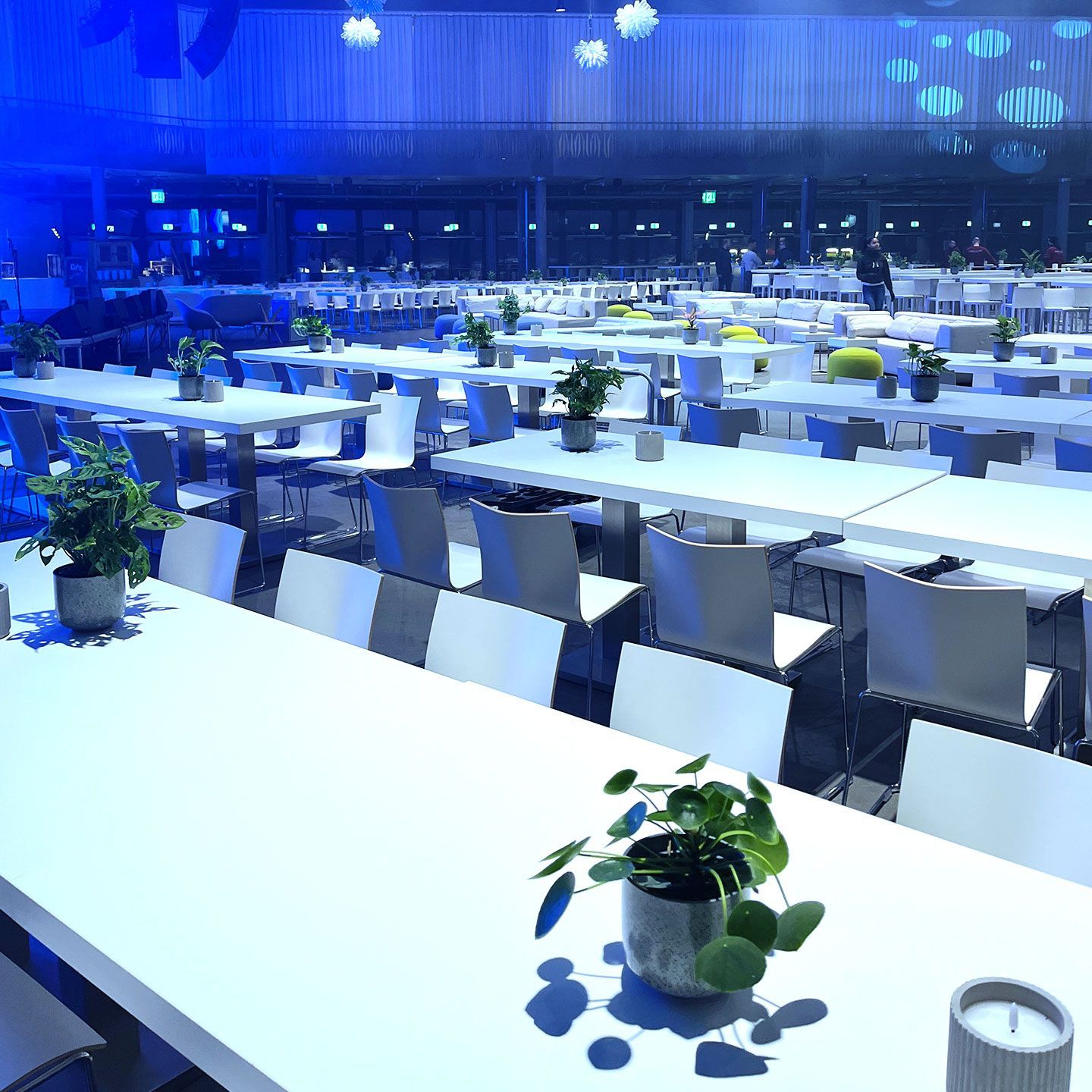 Begrünung standing ovation AG