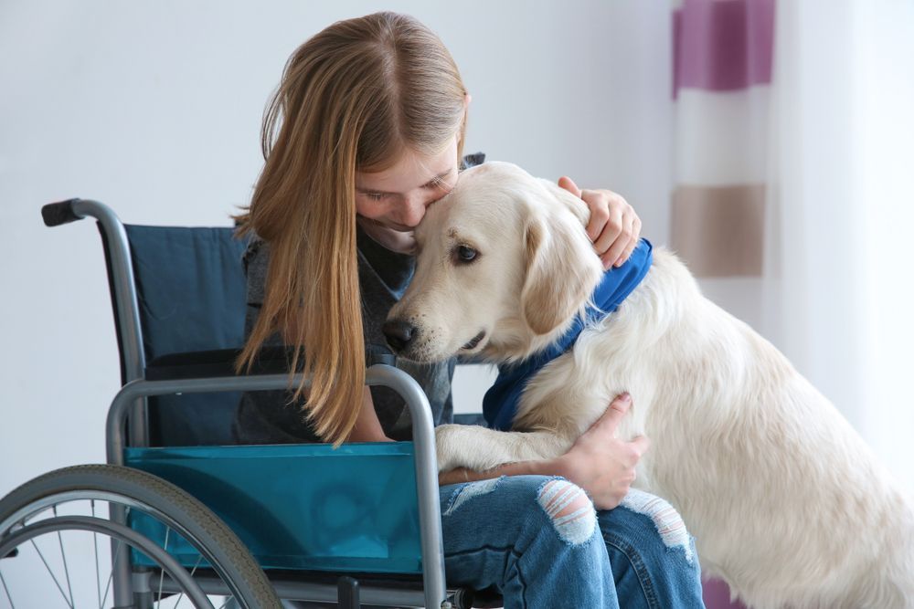 Girl in wheelchair with her service dog - First Aid in Mackay, QLD
