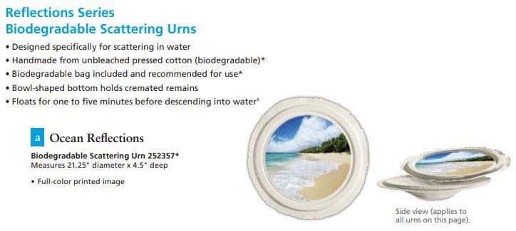 A white plate with a picture of a beach on it