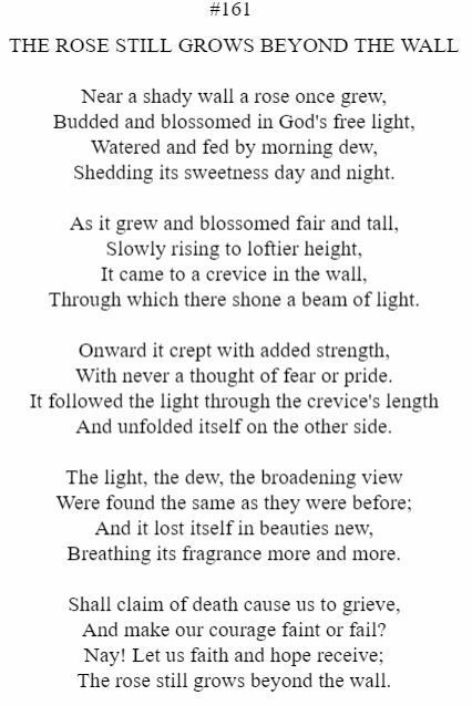 A poem titled the rose still grows beyond the wall