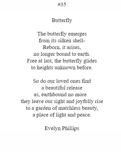 The butterfly emerges from its silken shell reborn it rises no longer bound to earth
