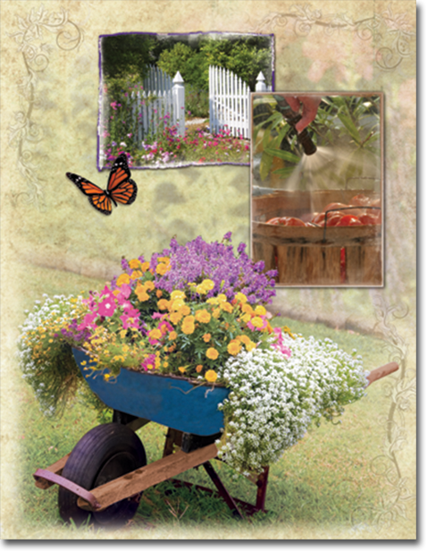 A wheelbarrow filled with flowers and a butterfly