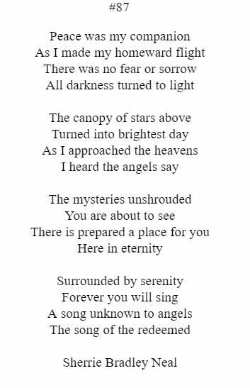 Peace was my companion as i made my homeward flight there was no fear or sorrow all darkness turned to light
