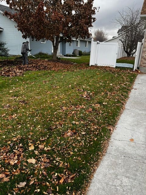 Lawn Edging Services