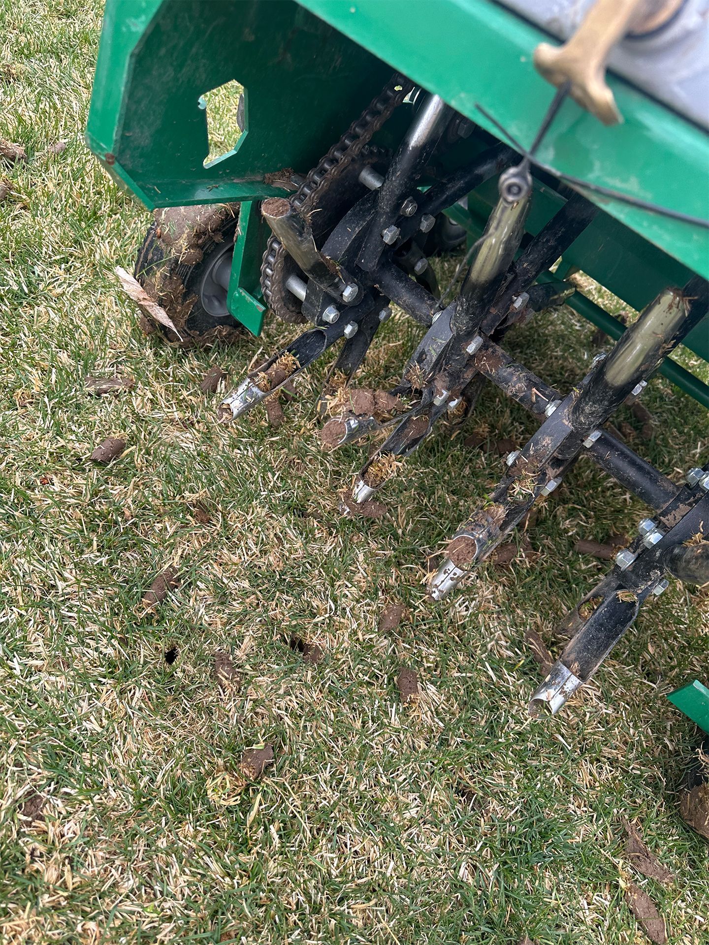 Green lawn aerator with spikes removing soil cores from a grassy lawn.