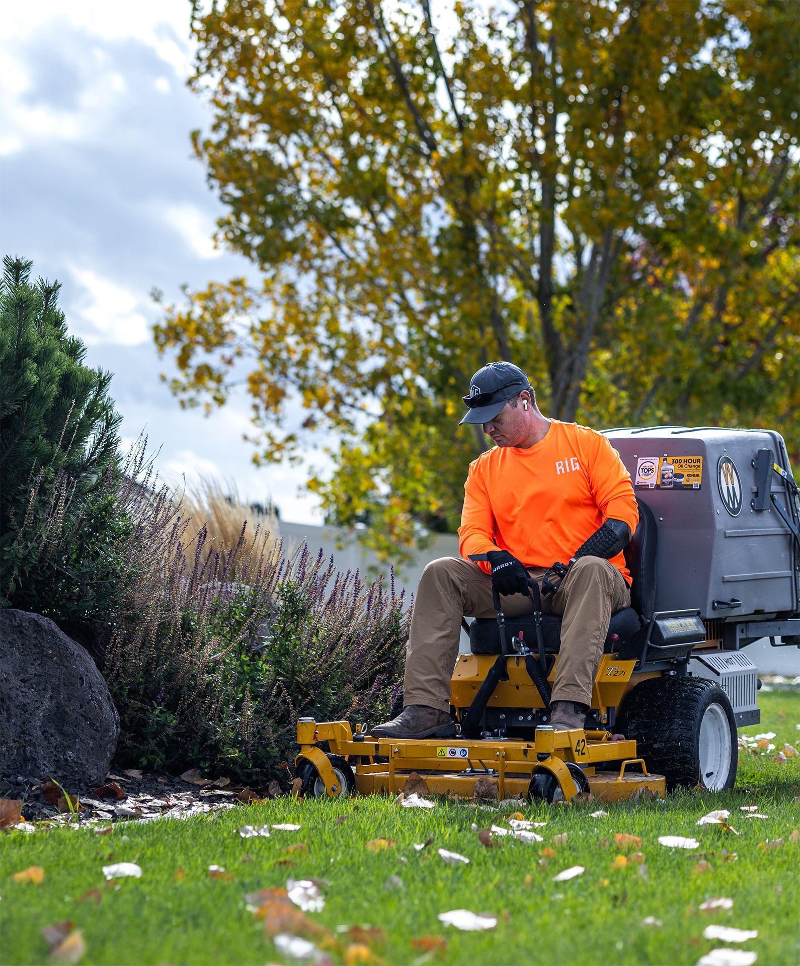 Man in orange shirt on riding mower, trimming lawn near bushes and a tree.