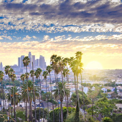 An aerial view of a city at sunset with palm trees in the foreground.