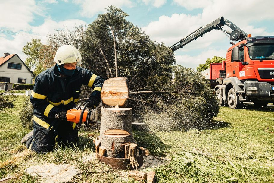 Firefighter using chainsaw to cut a tree trunk.