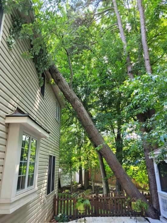 A tree fallen against a two-story house, damaging the roof. Sunny day.