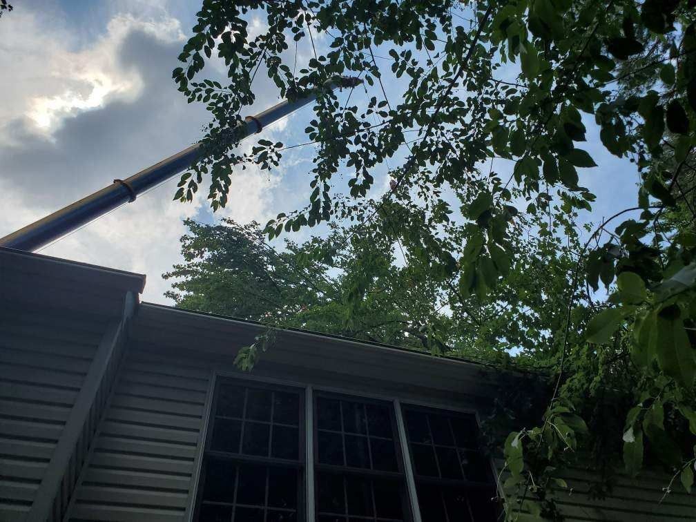 Crane trimming tree branches over a building on a cloudy day.