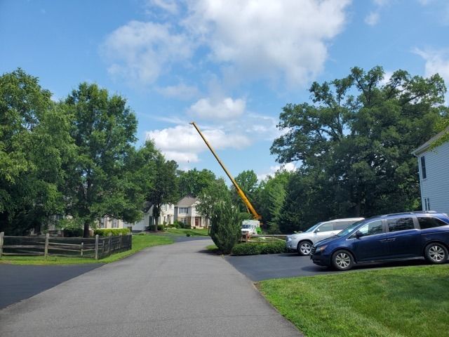 A cherry picker trimming trees in a suburban neighborhood on a sunny day.
