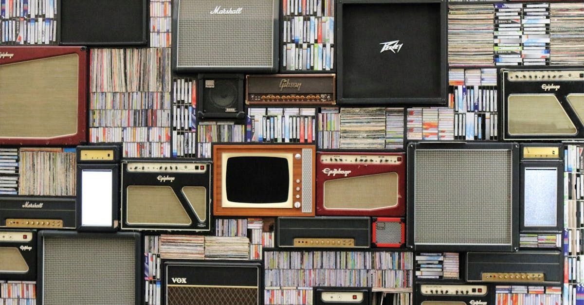 Empowering Artists to Reach New Heights